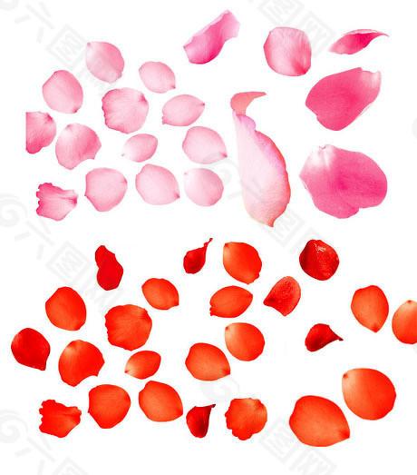 盈股网配资 内斗再起波澜，凯利泰将被ST