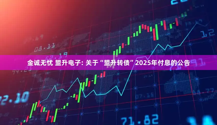 金诚无忧 盟升电子: 关于“盟升转债”2025年付息的公告